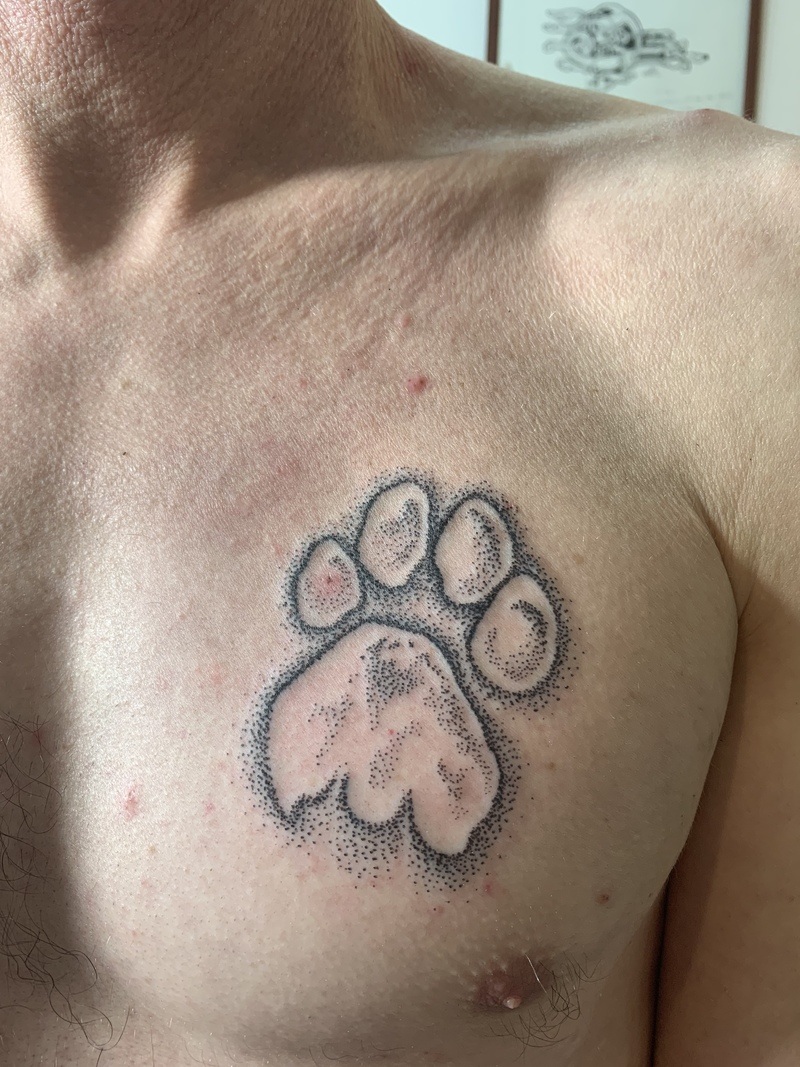 First tattoo memorial paw print for our special needs dog who passed away  Done by Joseph at Tried and True Tattoo in Greensboro NC  rtattoos